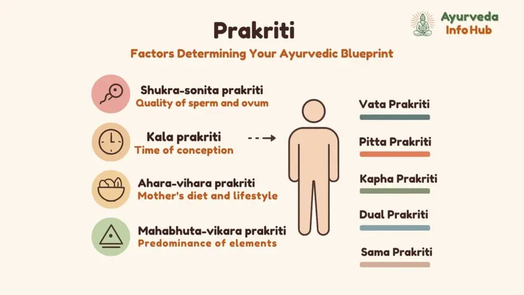 Prakriti in Ayurveda – factors determining body constitution (Shukra-sonita, Kala, Ahara-vihara, Mahabhuta-vikara) and types of Prakriti – Vata, Pitta, Kapha, Dual, Sama.